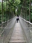 On the swinging bridge at The Tree House in England